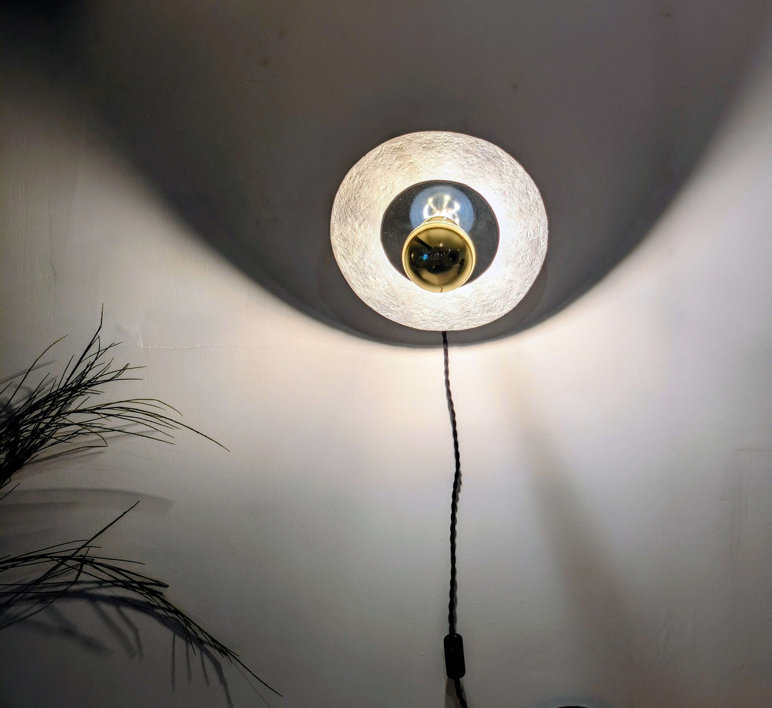 PXL_20250113_180024389.RAW-01.COVER~3 (1) (1)