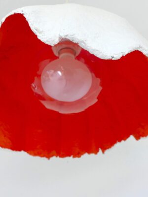 Modèle Dome FIN DE SERIE